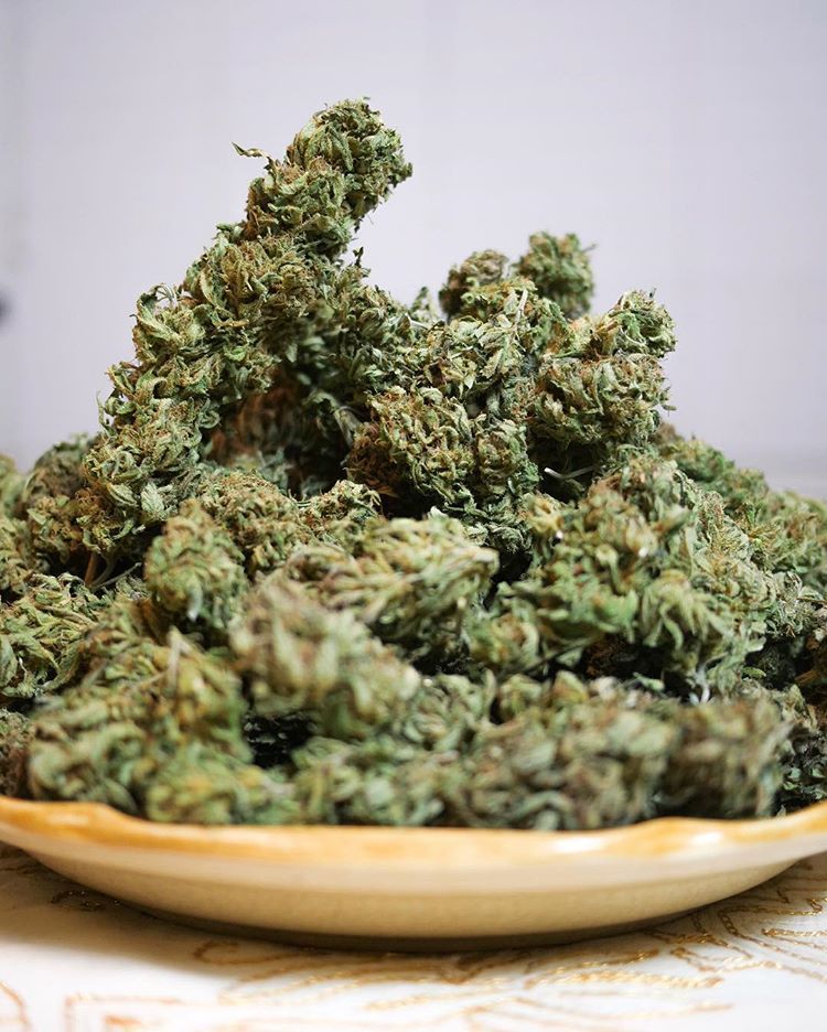 cannabis store edinburgh