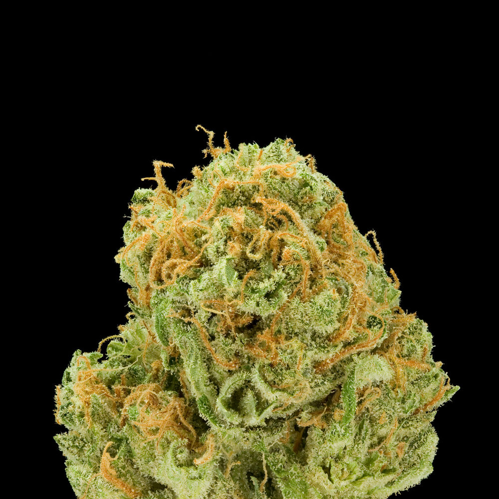 thc ediables