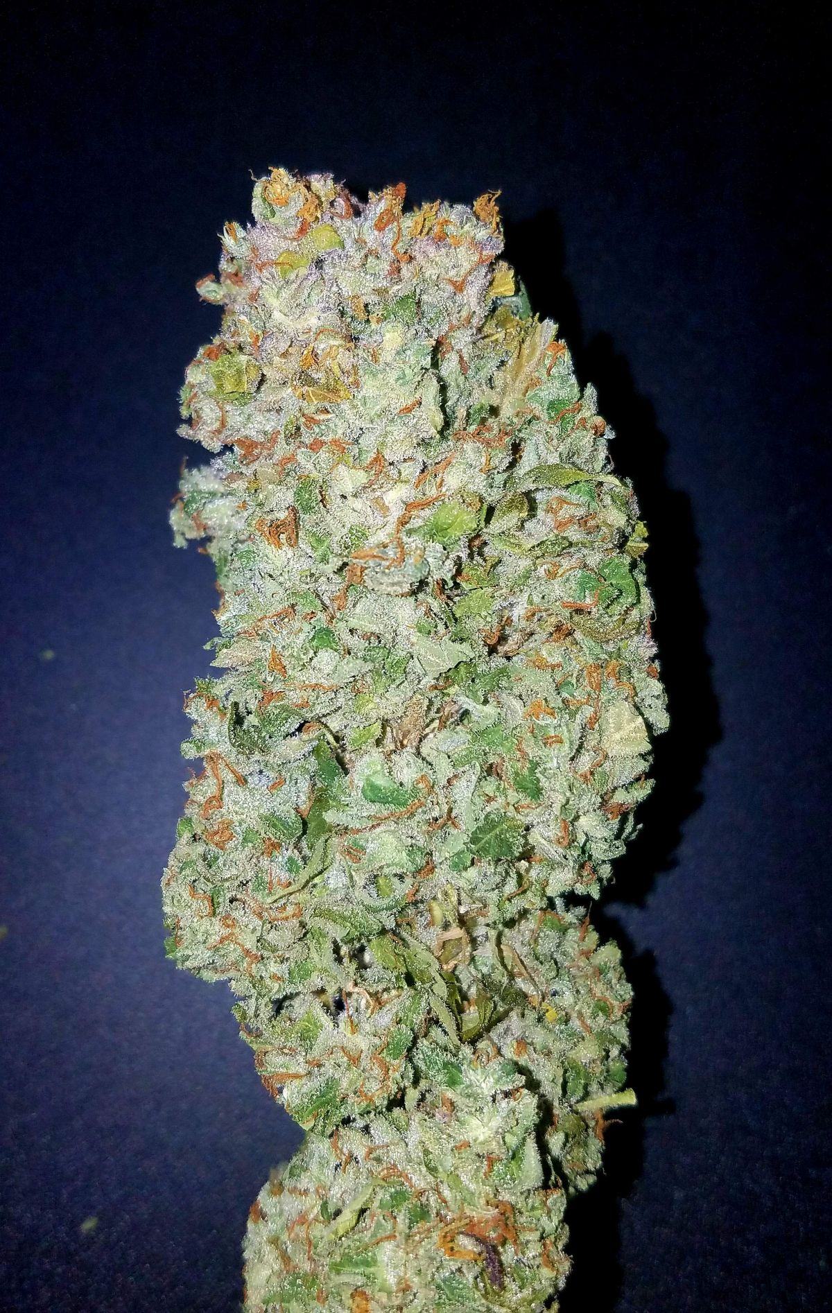 best hash online