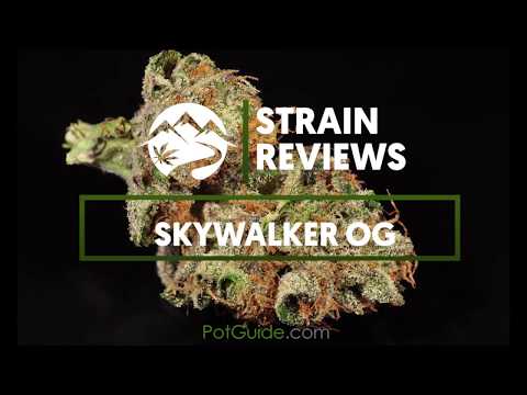 jungle boyz weed