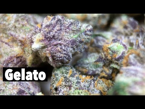 where to find weed london