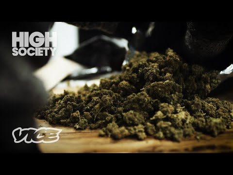 macflurry strain