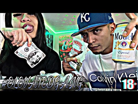 premium thc vape