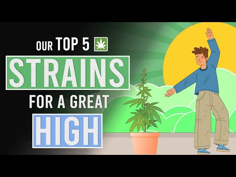 weed website
