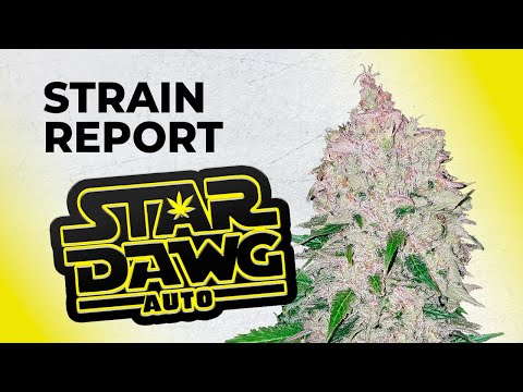 can you buy weed online uk