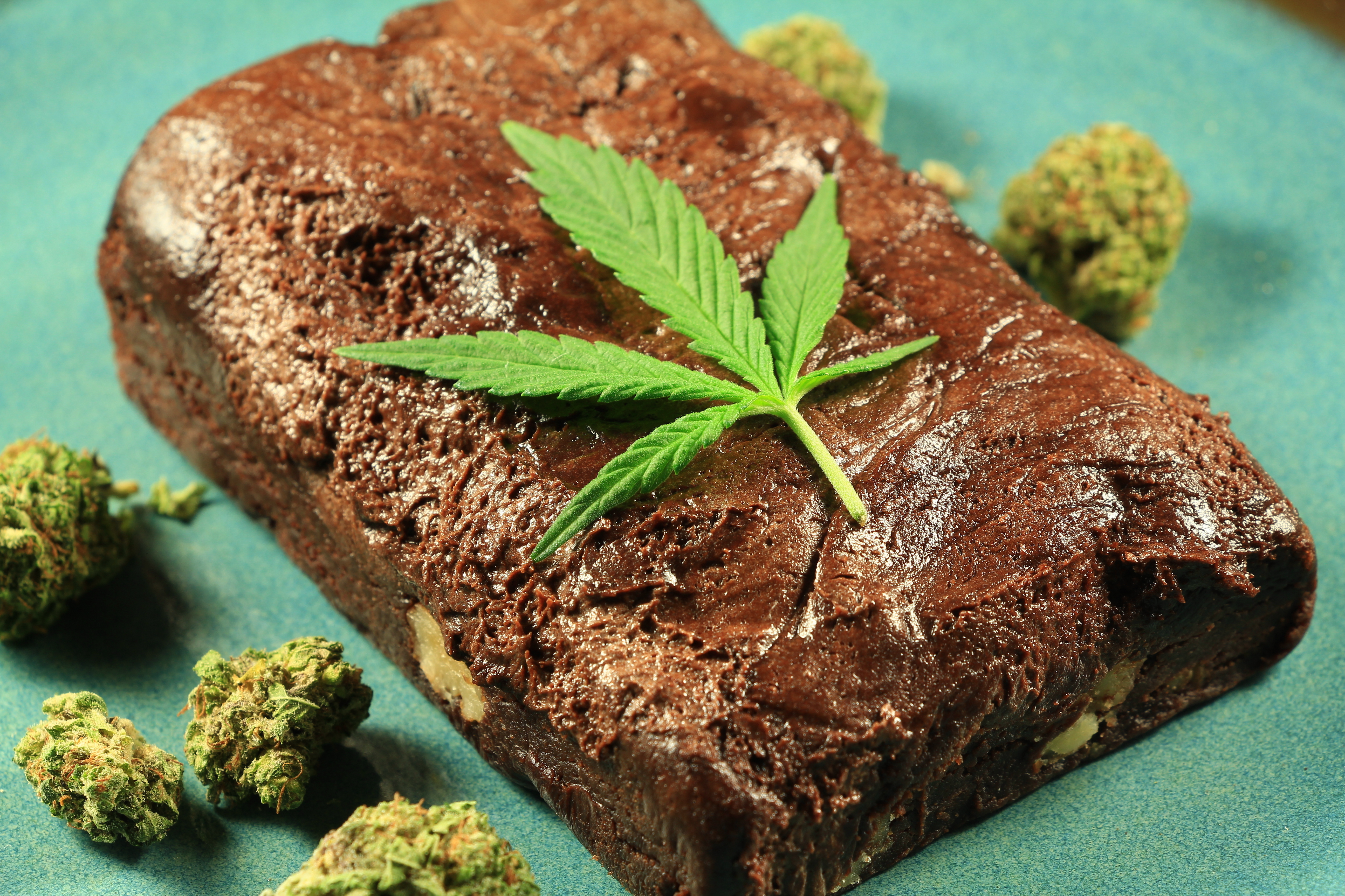 where can you buy weed gummies