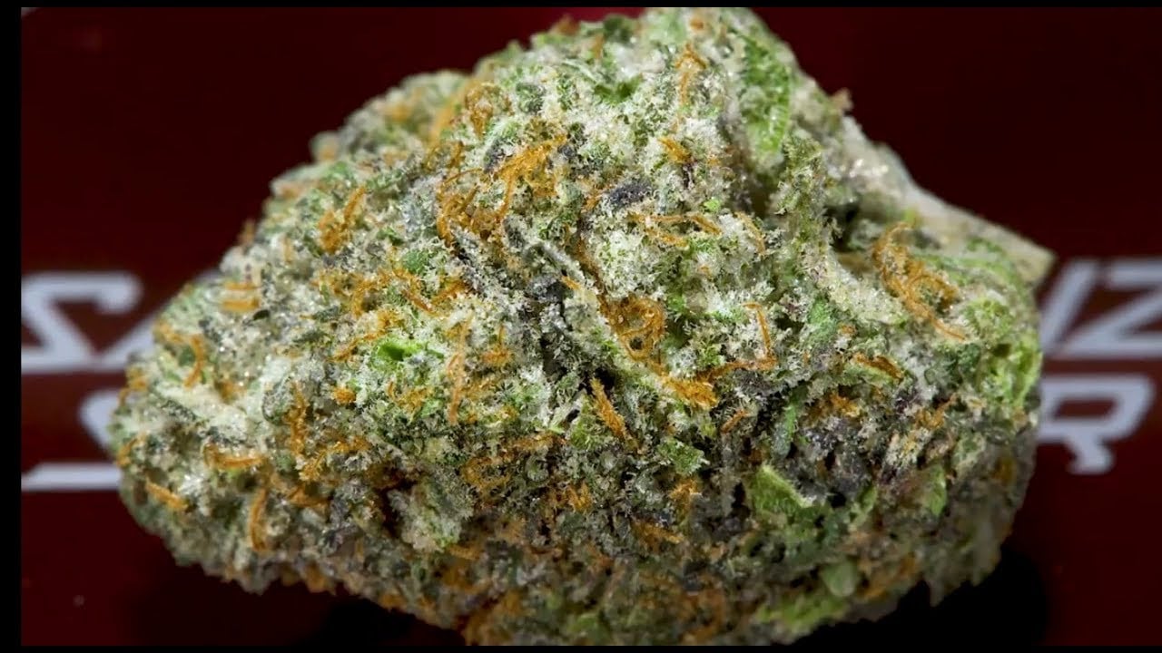 kamikaze strain