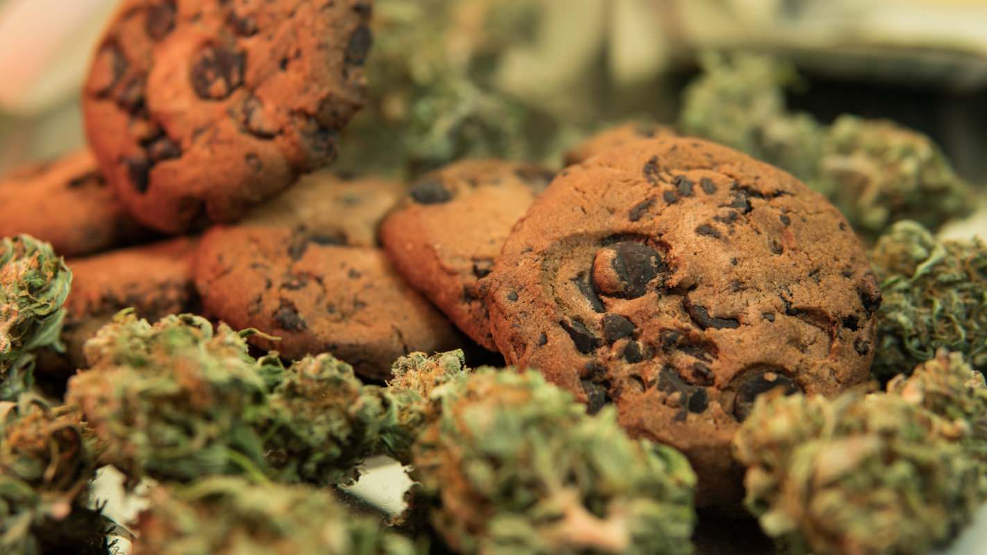 shop weed online