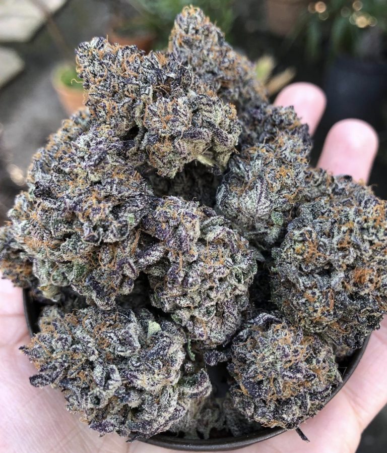can you buy edibles online
