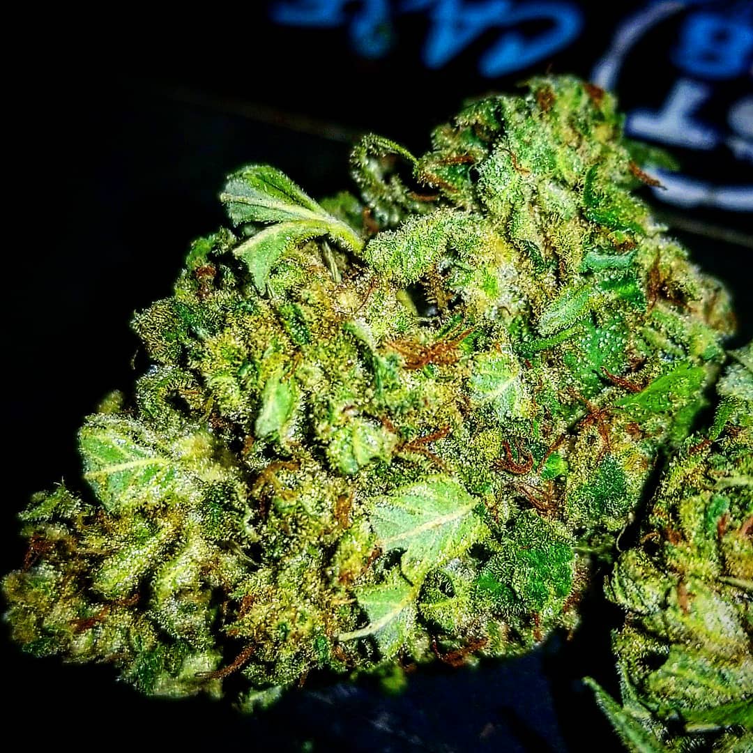online cannabis uk