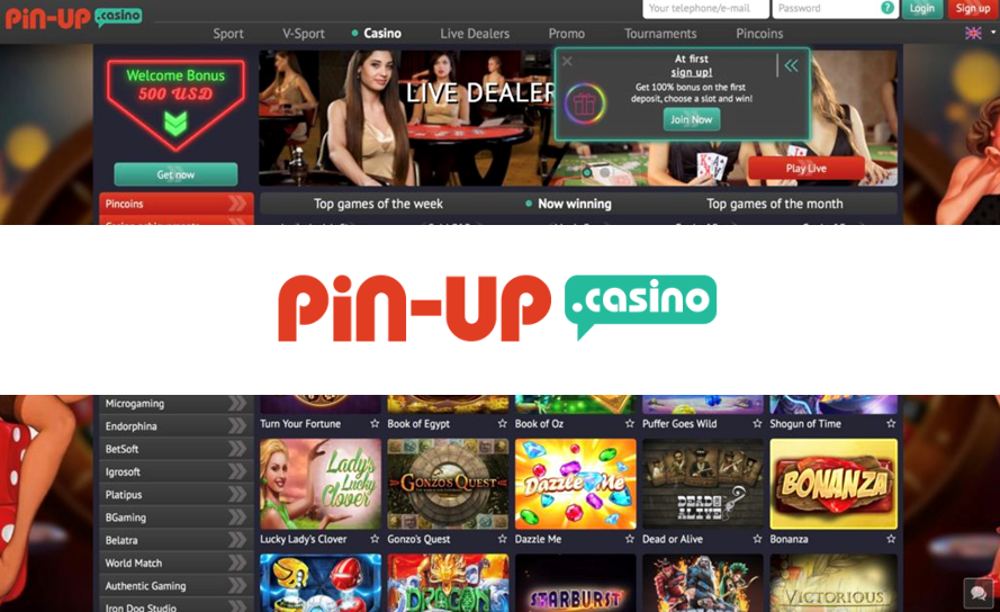 pin up oficial
