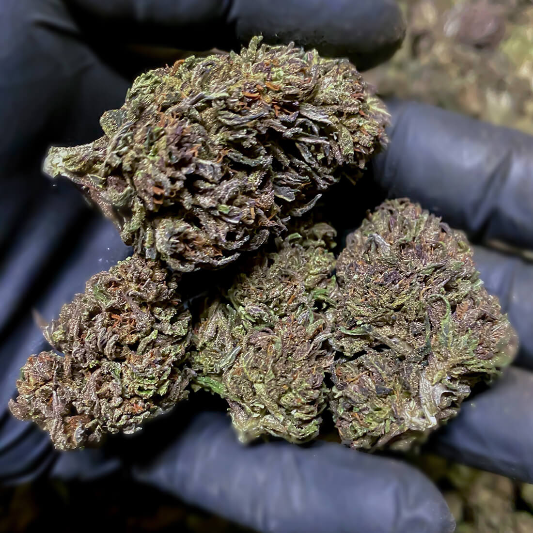 weed london uk