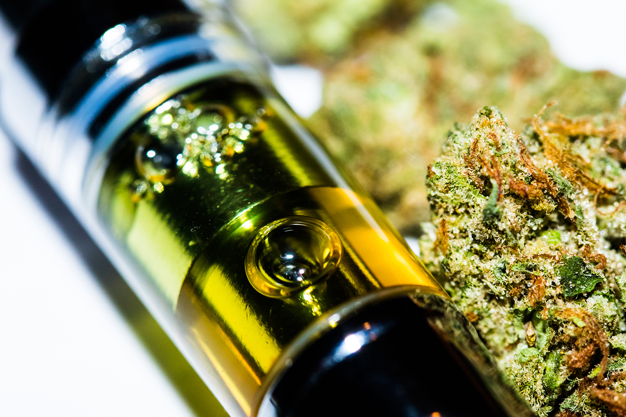 cannabis store edinburgh